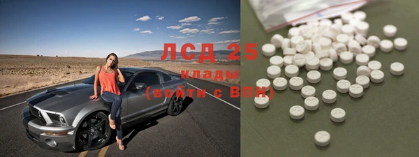 соль ск Белокуриха