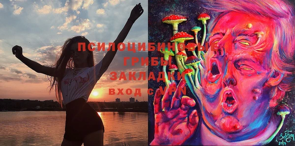 соль ск Белокуриха