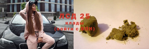 соль ск Белокуриха