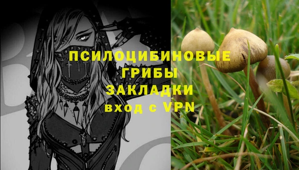 соль ск Белокуриха