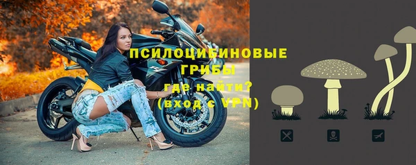 спиды Белоозёрский