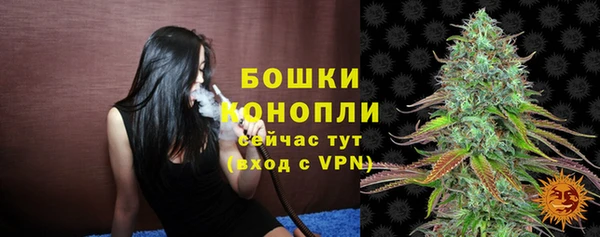 соль ск Белокуриха